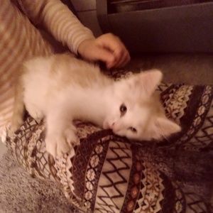 Meet your Posher, Ava